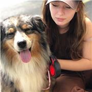 Je peux faire des cours particuliers concernant la Zootechnie du chien et du chat.